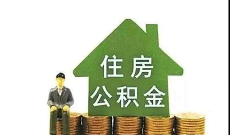 上海浦东新区9空放 上海浦东新区9空放